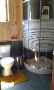 un bagno con wc e doccia in vetro di Hostal Andalue a Puerto Fuy