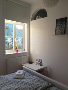 een slaapkamer met een bed en een tafel en twee ramen bij FeWo Gut Ohlhof in Goslar +8 foto's