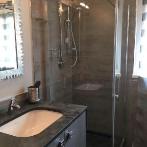 a bathroom with a sink and a shower at A casa di Romeo in Madesimo