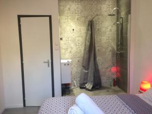ラグラスにあるAnna's gîteの部屋にはシャワーとベッド付きのバスルームがある +43枚の写真