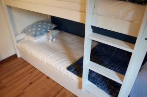 a bunk bed in a bunk room with a bed in a room at Los Pajaritos in Esterri d'Àneu