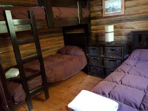 a room with two bunk beds and a ladder at Posta Nehuen Cabañas in Potrerillos