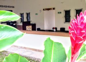 a view of a court room with a pink flower at Posada La Esperanza Boutique in Cumaral