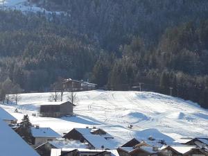 Chalet Schott v zime