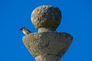 Fotografie z fotogalerie ubytování Trullo la Quiete v Alberobellu