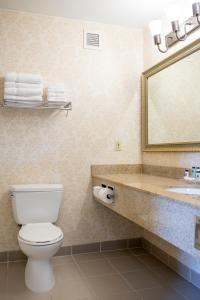 a bathroom with a toilet and a sink and a mirror at Country Inn & Suites by Radisson, Effingham, IL in Effingham