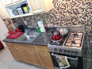 a kitchen counter with a stove and a sink at Studio, One and Two Bedroom Apartments - Bronx in Bronx