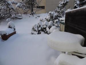 Astoria (174 Se) talvel