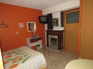 een slaapkamer met een bed, een open haard en een televisie bij Hostal El Eden in Zacatlán