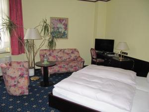 TV a/nebo společenská místnost v ubytování Hotel Wettin
