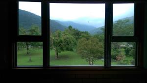 a window with a view of a field of trees at Seasons Inn in Jiaoxi