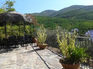 Príroda v okolí of the country house