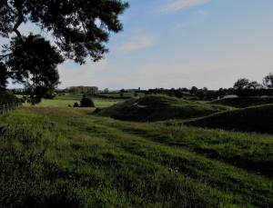 a field of grass with a tree in the foreground at The Three Horseshoes in Warham