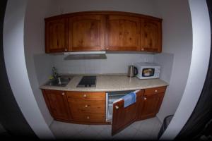 a small kitchen with wooden cabinets and a sink at ČS RoBiN OIL Harrachov in Harrachov