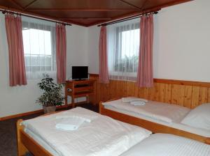 a bedroom with two beds and a desk with a tv at Pension Arnika in Deštné v Orlických horách