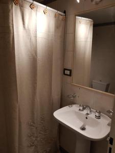 baño con lavabo y cortina de ducha en Apartamento Carlucci en Córdoba