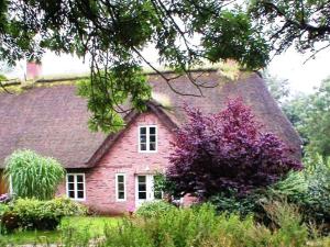 SimonsbergにあるMarie Carlaの紫の木のあるピンクのレンガ造りの家