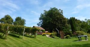 Giardino di Hotel Domittner