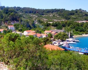 a group of boats docked in a harbor at Apartments Nodilo in Polače +54 photos