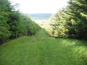 Un paisaje natural cerca of the bed and breakfast
