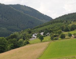 a house in the middle of a grassy hill at Dümpelhof Ferienwohnungen in Olsberg +12 photos