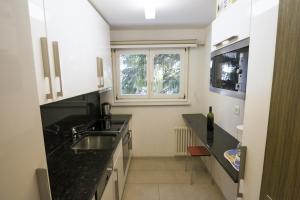 a small kitchen with a sink and a window at Haus Bündabrücke - Mosbacher in Davos