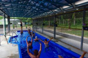 een groep mensen in een zwembad bij Daintree Peaks ECO Stays in Daintree