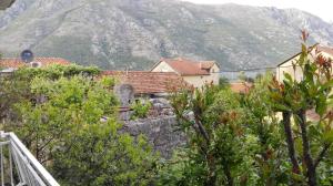 a group of houses with a mountain in the background at Apartments Penovic in Kotor