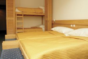 Postel nebo postele na pokoji v ubytování Hotel Špik