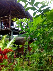 atropical garden with a building and some plants at Ancient Gardens - Villa in Pinnawala