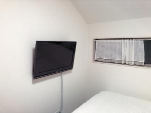 TV a/nebo společenská místnost v ubytování Tokyo Toneri Garden House-Stay