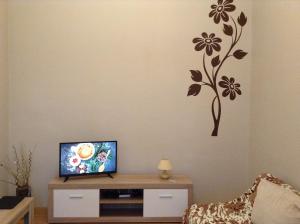 Televízia a/alebo spoločenská miestnosť v ubytovaní Family Stay in Lviv (2 Rooms + Kitchen)