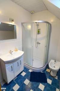 Un baño con ducha, lavabo e inodoro. en Apartment 5A, en Kaunas
