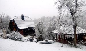 Vacation Home Nana during the winter