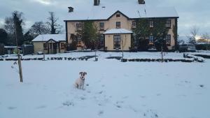 Charlotte's Way B&B talvel