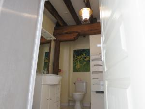 ein Bad mit einem Waschbecken und einem WC in der Unterkunft Chambres d'hôtes du Moulin de la Chaussee in Saint-Denis-dʼOrques