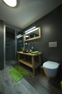 ein Bad mit einem WC, einem Waschbecken und einer Dusche in der Unterkunft Sea house in Izola