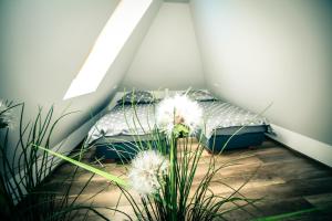 Letto o letti in una camera di Dmuchawiec Łukęcin