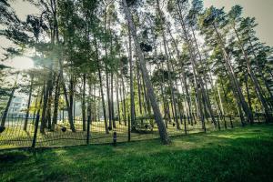 Paesaggio naturale nelle vicinanze dell'appartamento