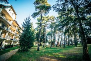 Paesaggio naturale nelle vicinanze dell'appartamento