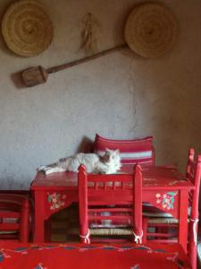 Letto o letti in una camera di Kasbah Timdaf