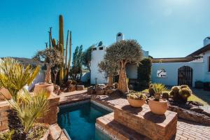 a backyard with a swimming pool and a bunch of plants at Beausoleil in Bonnievale
