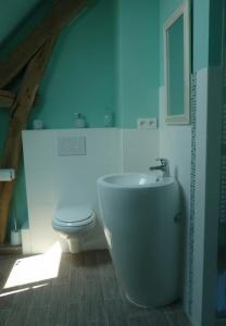 ein Badezimmer mit einem weißen WC und einem Waschbecken in der Unterkunft La maison des fleurs in Saint-Senoch