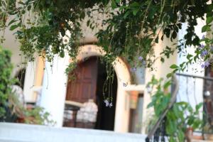 Фотография из галереи Meryem's Hotel в Кирении