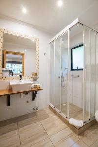 a bathroom with a shower and a sink at Cabanas y Lodge Los Hualles in Las Trancas