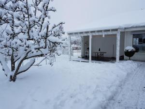 Holiday home close to forest, lake and skiing冬天相片