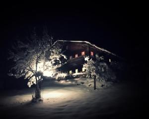 Arlerhof v zimě