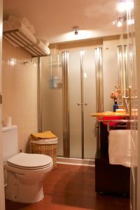 塞维利亚Apartamento San Benito C的带马桶和淋浴的浴室