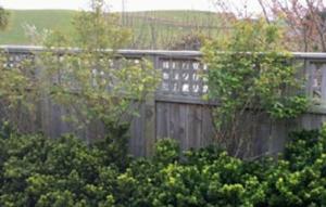 Noah's Boutique Accommodation Moeraki 야외 정원
