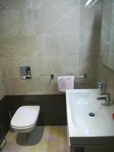 uma casa de banho com um WC branco e um lavatório. em Loft Aziz em Tunes